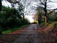 IMG_20211212_100211_1