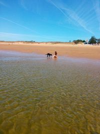 IMG_20200908_132113_4CS